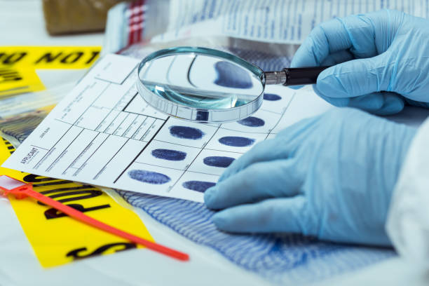 Forensic scientist investigates fingerprints